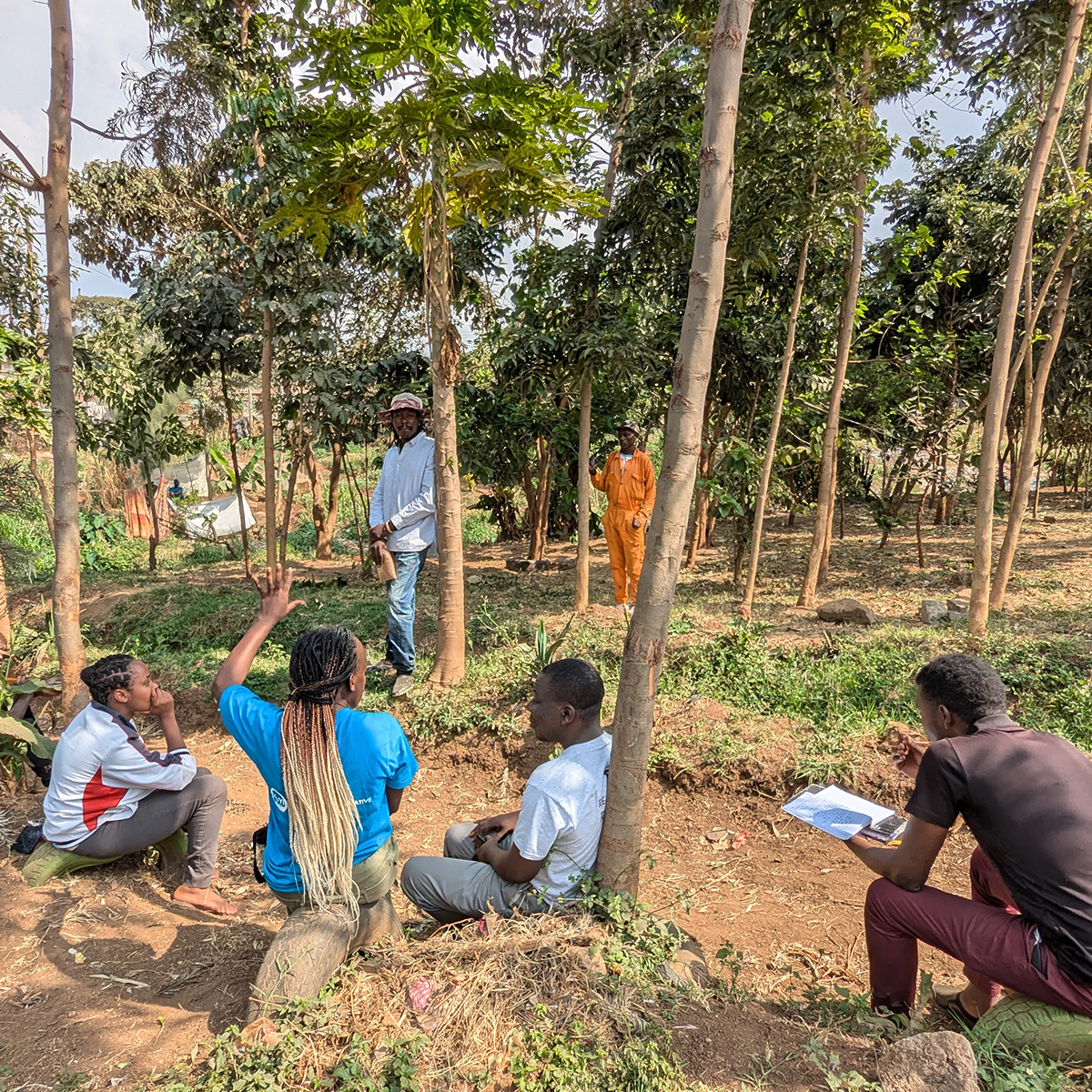 Community forest in an informal settlement